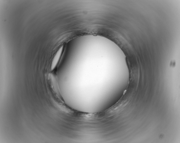 X0000093770092200711131222