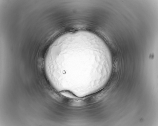 X0000093770093200711131222