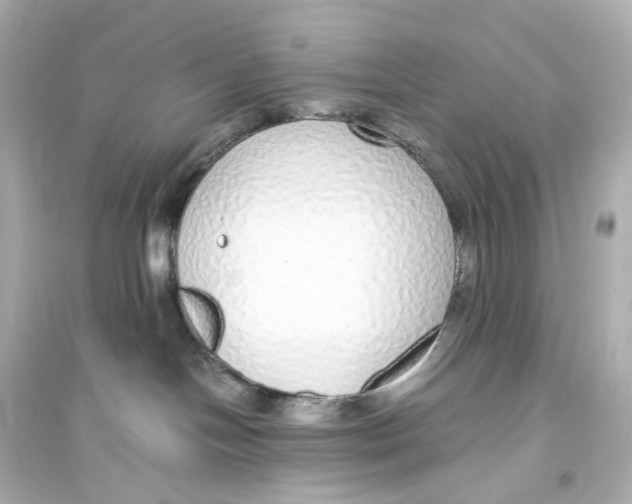 X0000093770094200711131222