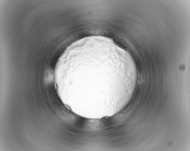 X0000093770095200711131222