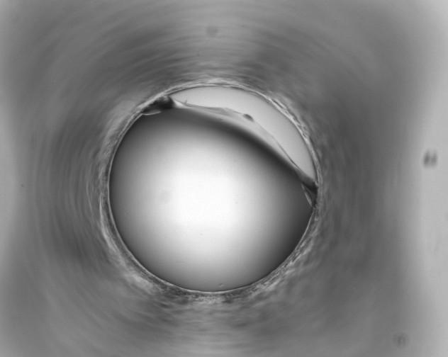 X0000093770097200711131221