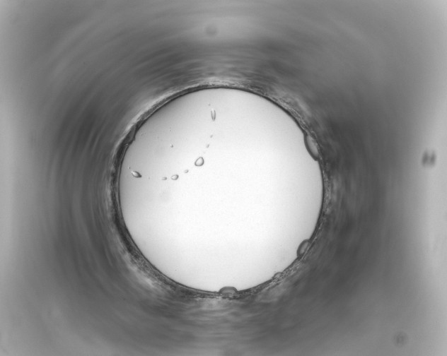 X0000093770098200711131221