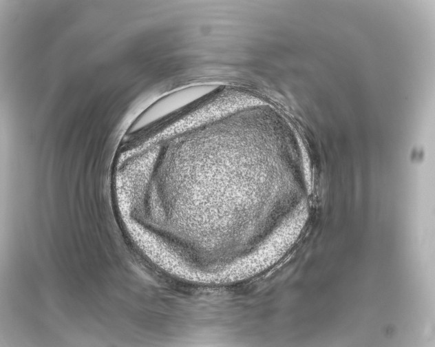 X0000093770099200711131221