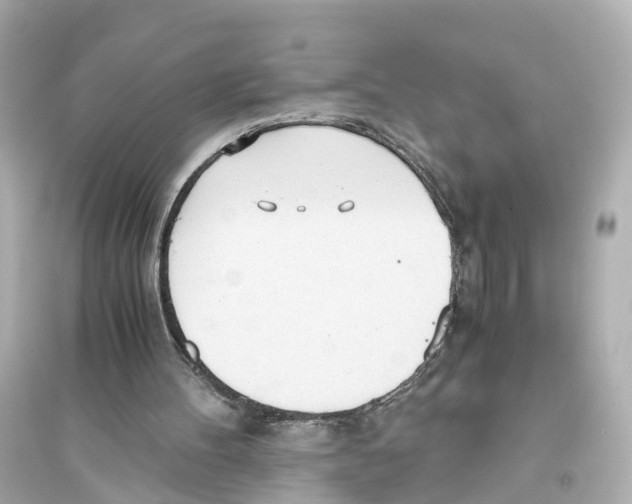 X0000093770100200711131221