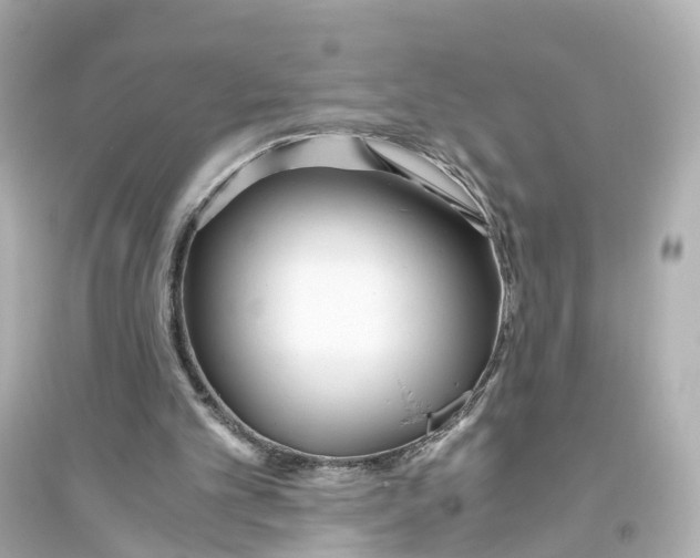 X0000093770101200711131221