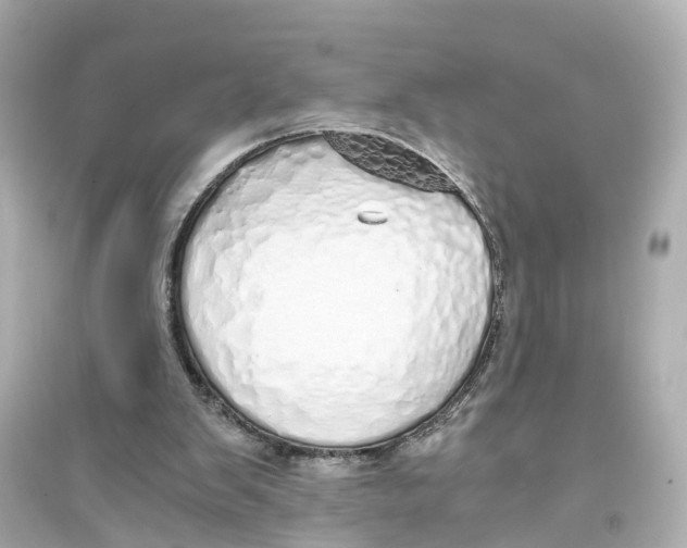 X0000093770103200711131221