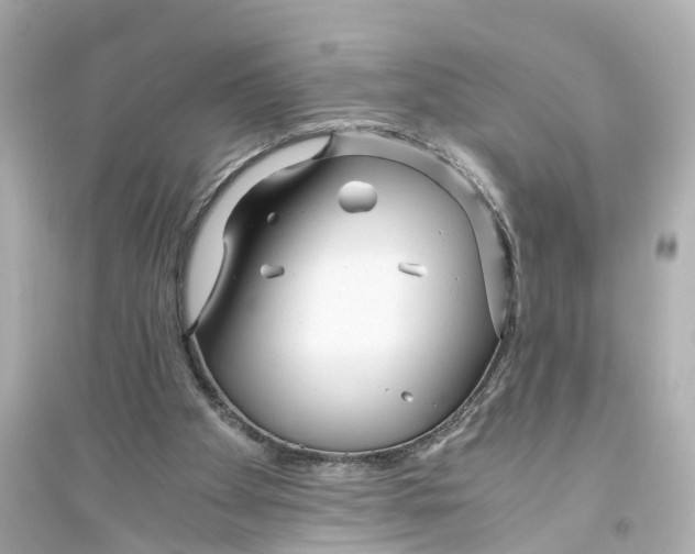 X0000093770105200711131221