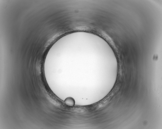 X0000093770106200711131221