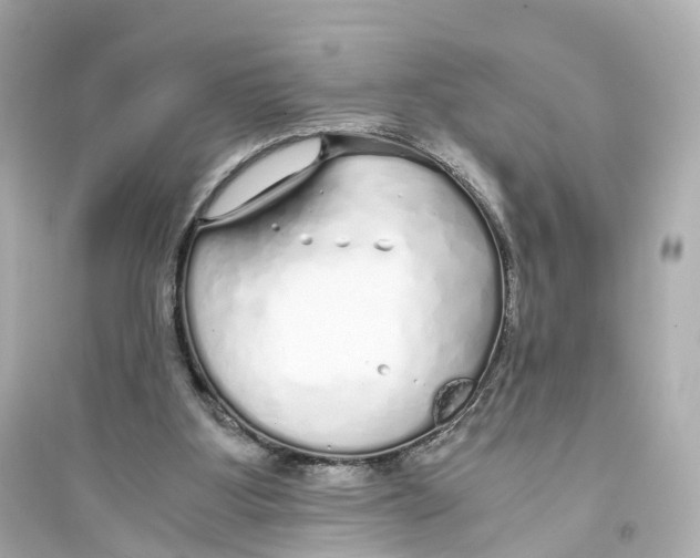 X0000093770107200711131221