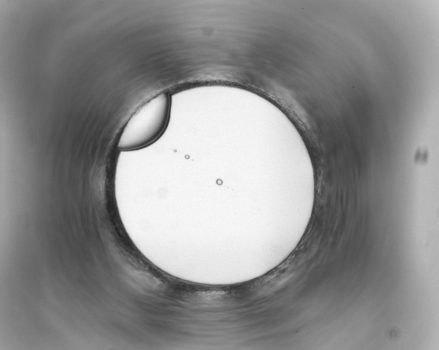 X0000093770108200711131221