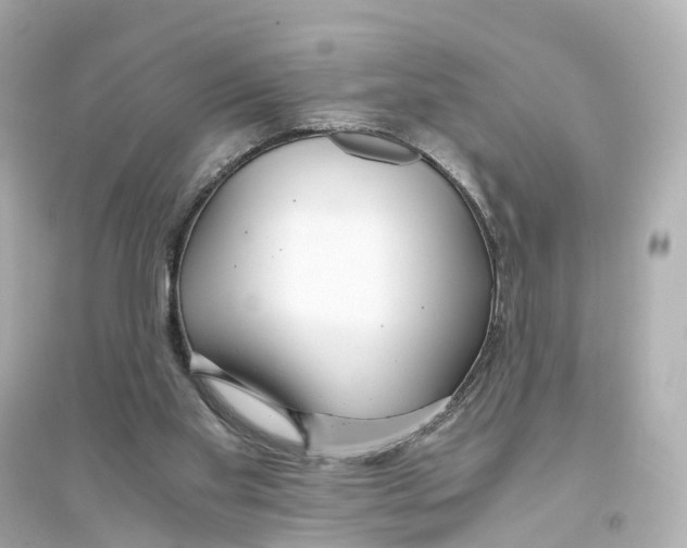 X0000093770109200711131221