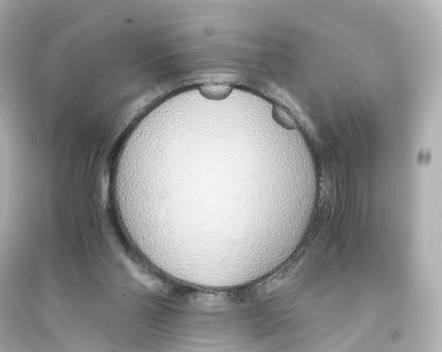 X0000093770110200711131221