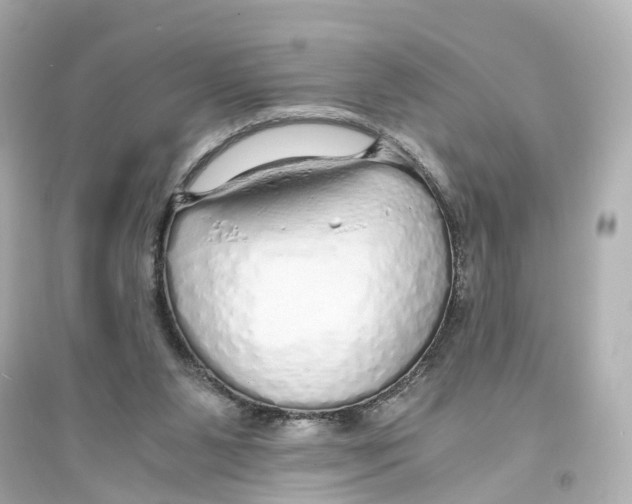 X0000093770111200711131221