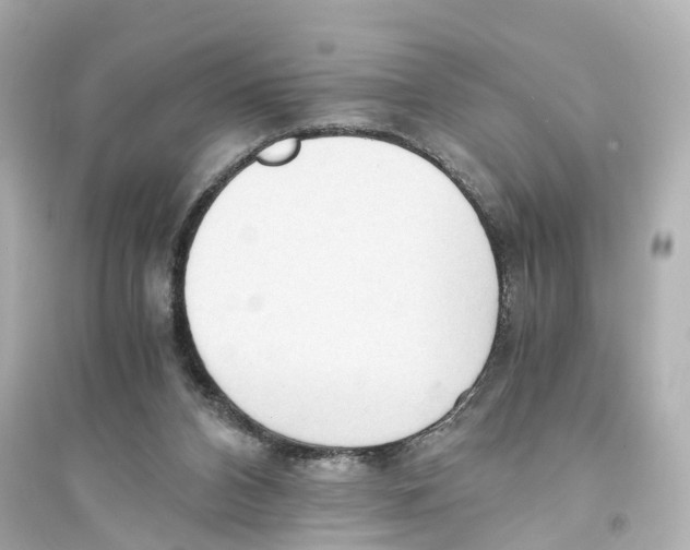 X0000093770112200711131221