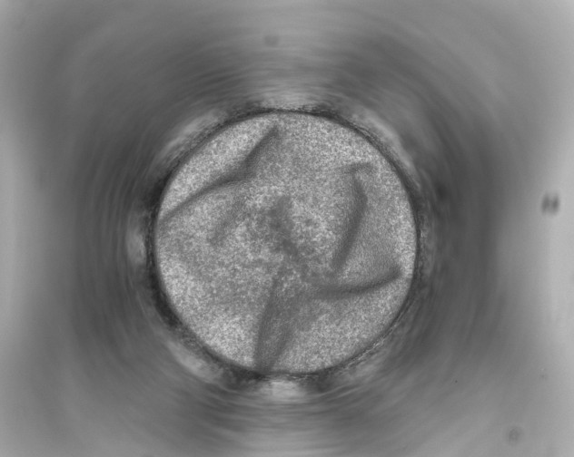 X0000093770114200711131221