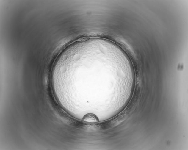 X0000093770115200711131221