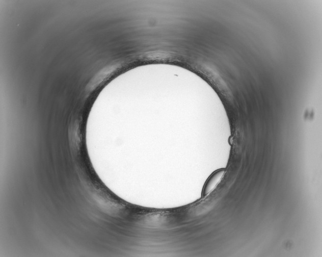 X0000093770116200711131221