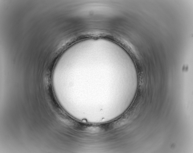 X0000093770119200711131221