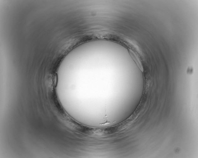 X0000093770121200711131221