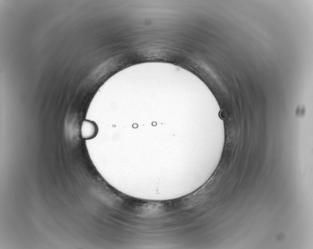 X0000093770124200711131221