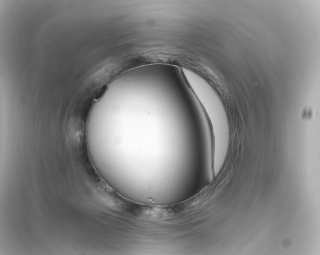 X0000093770125200711131221