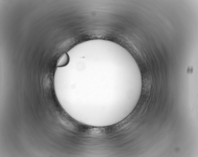 X0000093770126200711131221