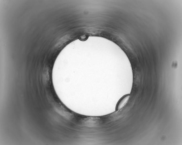 X0000093770128200711131221