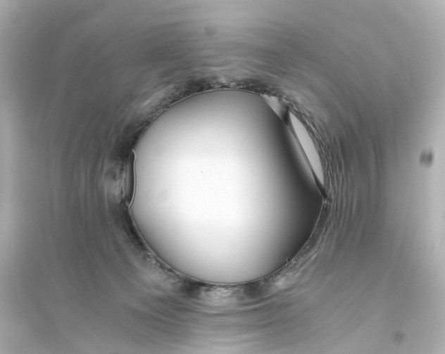 X0000093770129200711131221