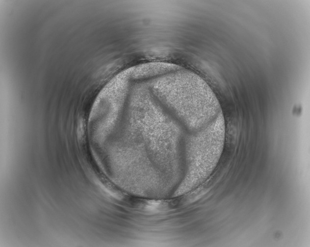 X0000093770130200711131221