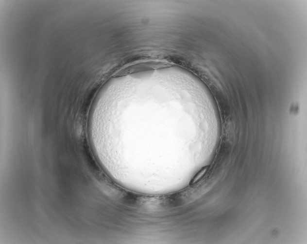 X0000093770131200711131221