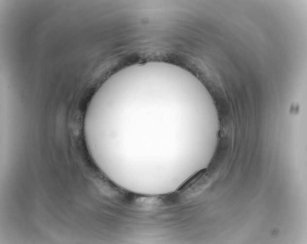 X0000093770133200711131221