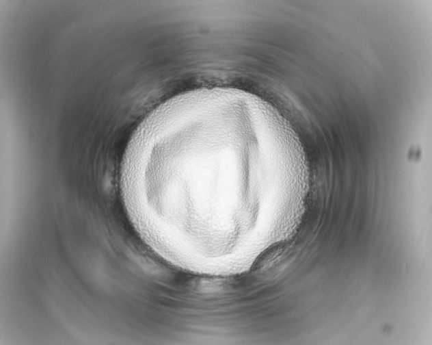 X0000093770134200711131220