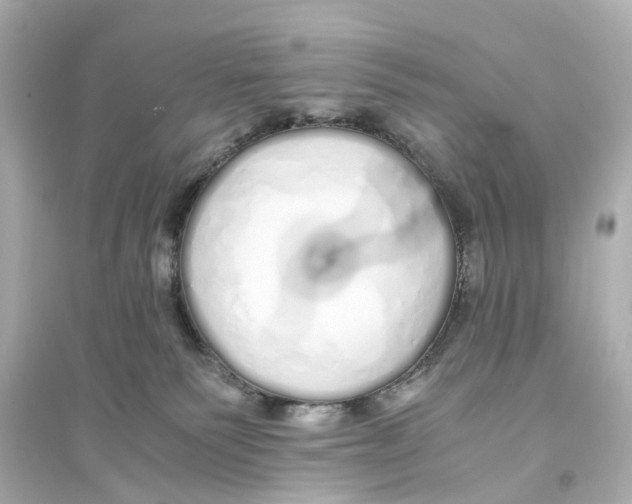 X0000093770135200711131220