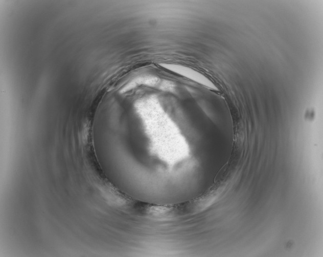 X0000093770139200711131220