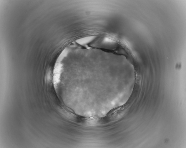 X0000093770143200711131220