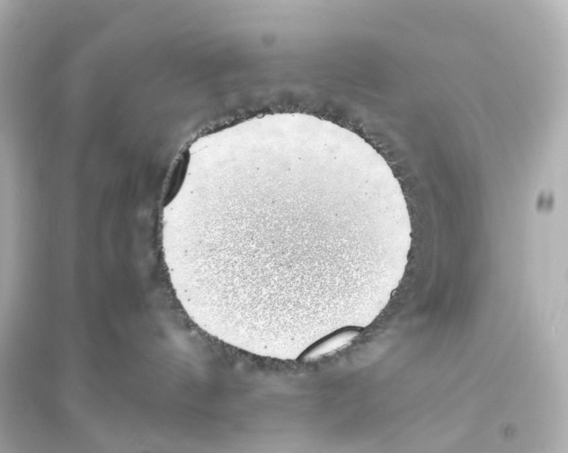 X0000093770144200711131220