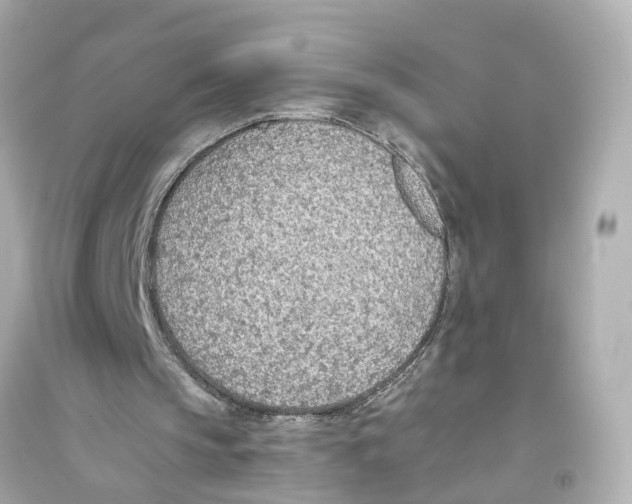 X0000093770145200711131219