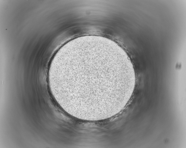 X0000093770146200711131219