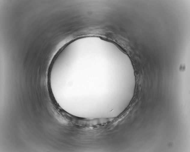 X0000093770148200711131219