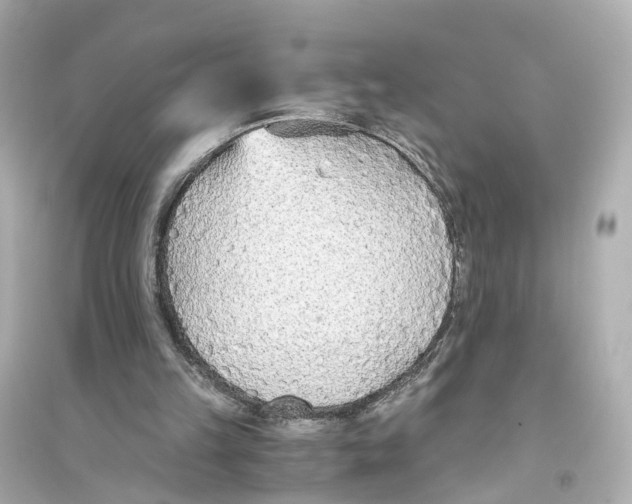 X0000093770149200711131219