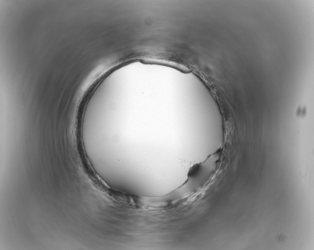 X0000093770150200711131219