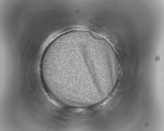 X0000093770151200711131220