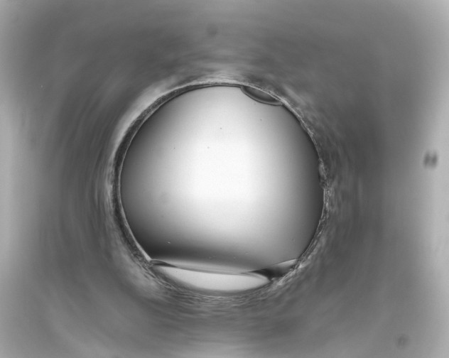 X0000093770152200711131220