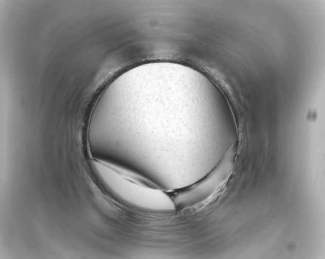 X0000093770154200711131220