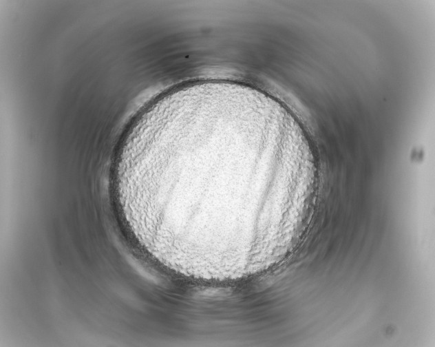 X0000093770155200711131220