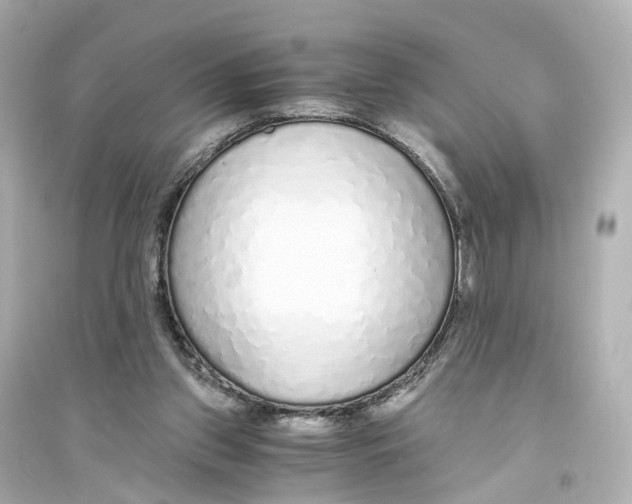 X0000093770157200711131220