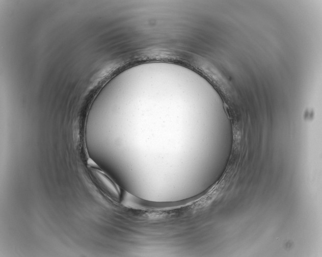 X0000093770158200711131220