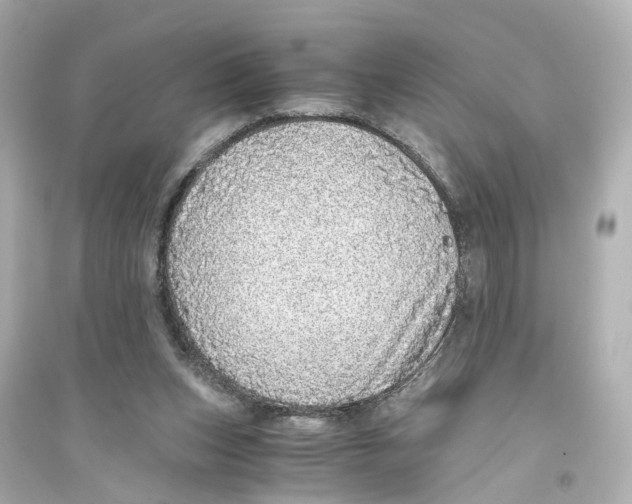 X0000093770159200711131220