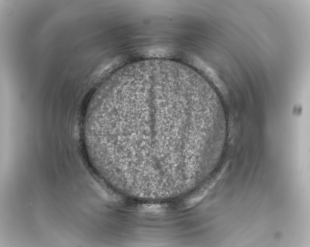 X0000093770161200711131220