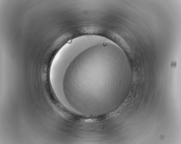 X0000093770163200711131220